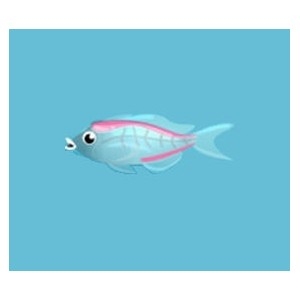 Pink Glass Fish